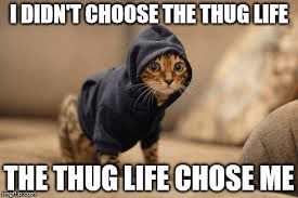 thuglife