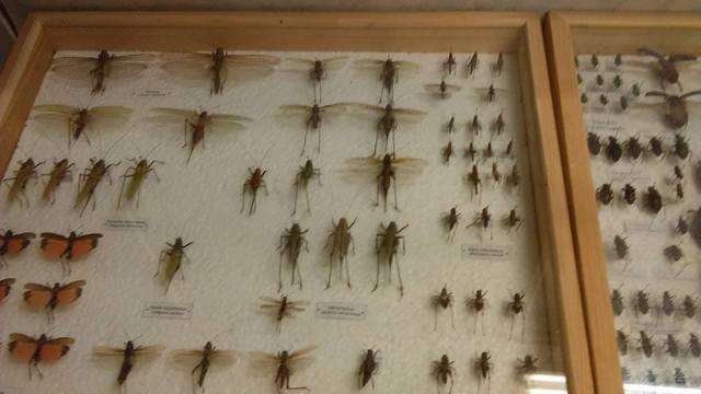 14666103_10157559514035024_6003952043266926016_n