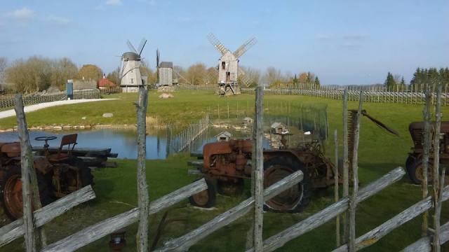 14720622_10157559500780024_8414789493711614688_n