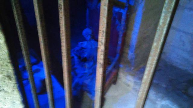 14731257_10157564327300024_6309983940718756414_n