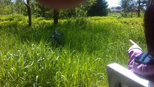 18275219_10158572952550024_7438547043879182534_n