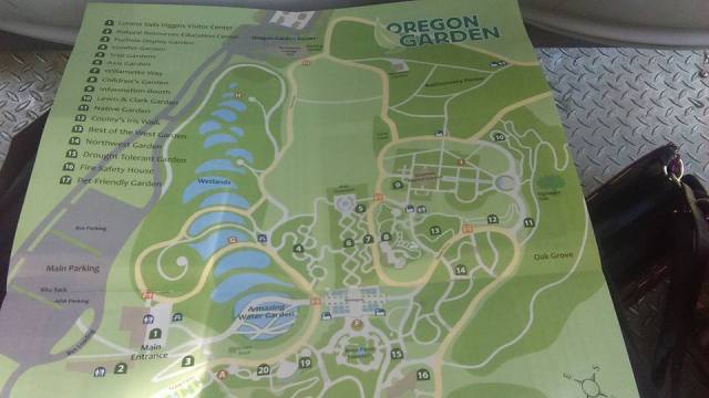 18301872_10158572954955024_688281744806359365_n